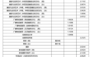 中国传媒大学美术专科分数线多少？
