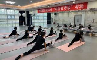 菏泽学院舞蹈专业怎么样