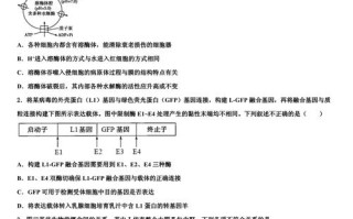 全国大联考2025届高三第五次联考有何新变化？