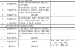 哪些大学承认湖南音乐统考成绩？