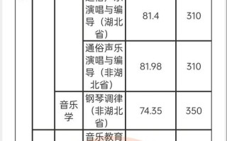 音乐院校音乐录取分数线