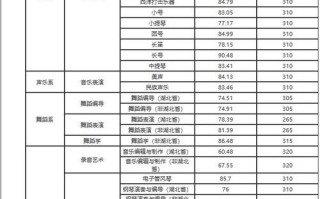 武汉音乐学院舞蹈分数线是多少？