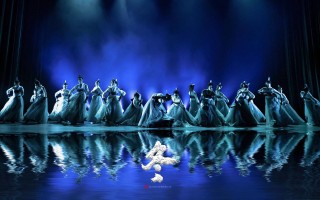 杭州师范大学舞蹈招生有何要求？