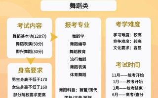 舞蹈考研文化课该选哪个机构？