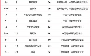 音乐类综合大学2025