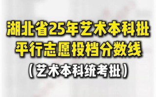 2025湖北美术本科线多少分？