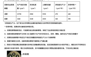 衡阳市第三次联考2025难度如何？