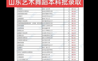 菏泽学院舞蹈体育分数线多少？