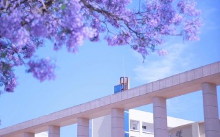 西昌学院2025美术招生有何新变化？