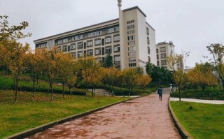 重庆南方翻译学院音乐学有何特色与优势？