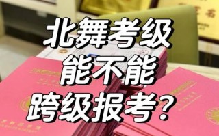 北京舞蹈学院属于哪类高校？
