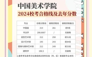 美术联考254分能考上央美吗？