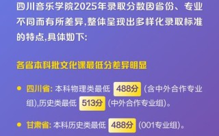 2025川音舞蹈多少分