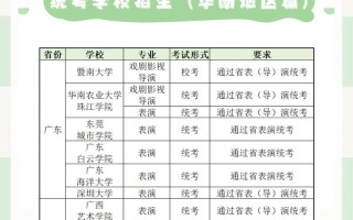 广东传媒艺考联考总分是多少？