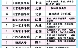 艺考506分能上哪些学校？