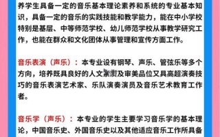 大专音乐表演专业报考需满足哪些条件？
