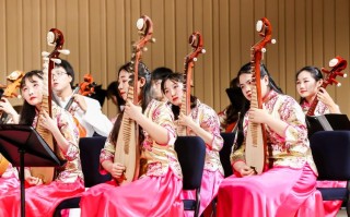 大学音乐表演专业，该学核心技能还是综合素养？