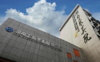 不艺考能读高职艺术专业吗？