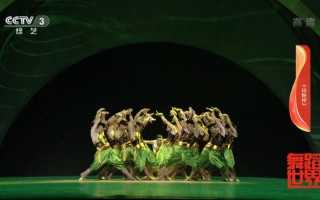 广西艺术学院舞蹈提前批