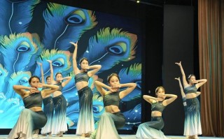 艺校有哪些学校大学舞蹈