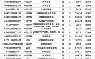 聊城大学舞蹈专业分数线多少？