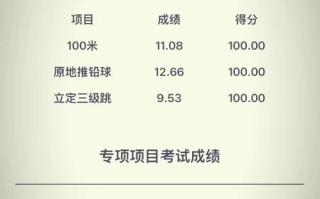 2025辽宁艺考总分多少？