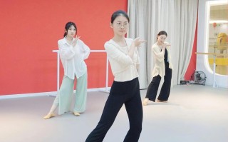 南昌航空大学舞蹈系老师有何教学特色？