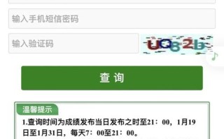 山东艺考成绩怎么查？