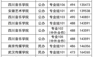 2025音乐学院艺考分数线多少？