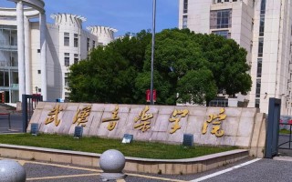 2025武汉音乐类学校有哪些？招生要求是什么？