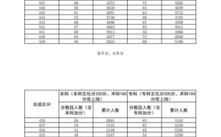 2025年高考音乐加分
