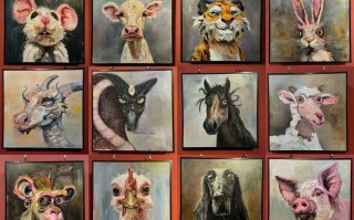 贵州大学美术文科有何特色与优势？