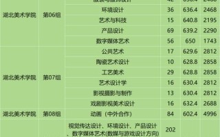 湖北2025美术过线分是多少？