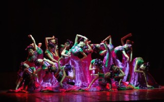 舞蹈艺术职业学院该如何选？