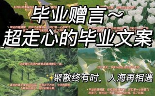 小学毕业催泪话语配什么音乐最戳心？