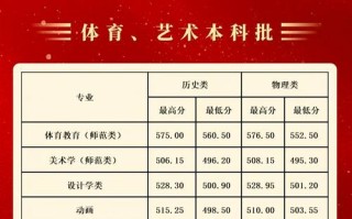 河南科大2025美术线多少？