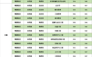西华大学舞蹈学院分数线多少？
