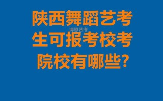 陕西舞蹈大专学校有哪些