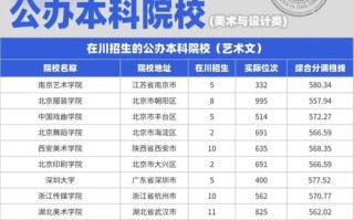 川音成都美术学院分数线多少？
