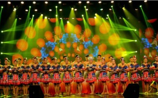 邵阳学院舞蹈系专业代号是多少？