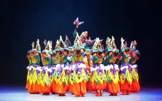 浙江师范大学舞蹈类是几本？