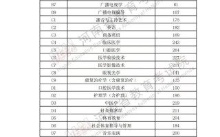 2025河南美术联考网考什么？