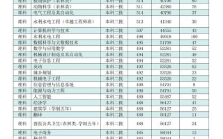 云南农大美术录取线是多少？