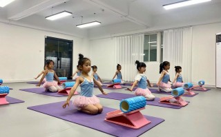 舞蹈学校文化课低，是因专业学习挤占时间吗？