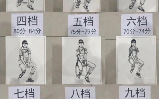 美术联考单科成绩怎么查？