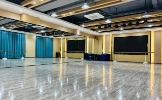 专业舞蹈学校有哪些学校