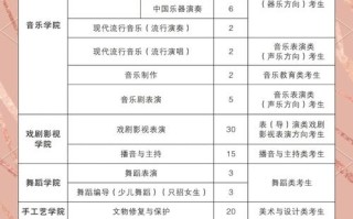 浙江音乐联考人数为何持续增长？