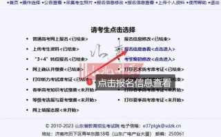 山东美术联考成绩何时公布？查分入口在哪？