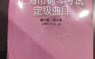 2025音乐艺考236分能上哪些学校？