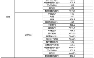哈尔滨华德学院美术录取分数线多少？